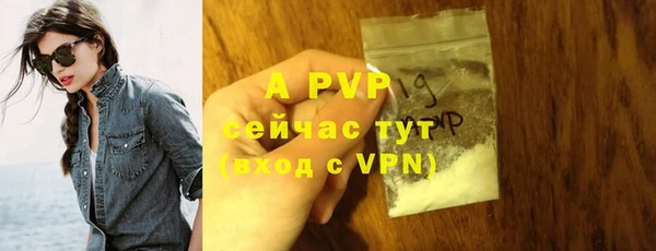 стафф Абаза
